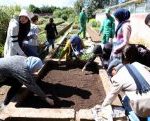 Au cœur des Jardins exotiques de Bouknadel, des élèves explorent l’art de distiller les plantes aromatiques