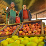 Prix de vente au détail des principales denrées alimentaires