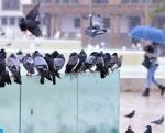 Fortes pluies et rafales de vent vendredi et samedi dans plusieurs provinces (Bulletin d’alerte actualisé)